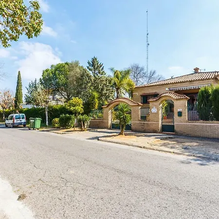 Divi Reyes Mairena del Aljarafe